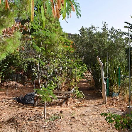 La Casa De Los Pinos Temisas Bagian luar foto