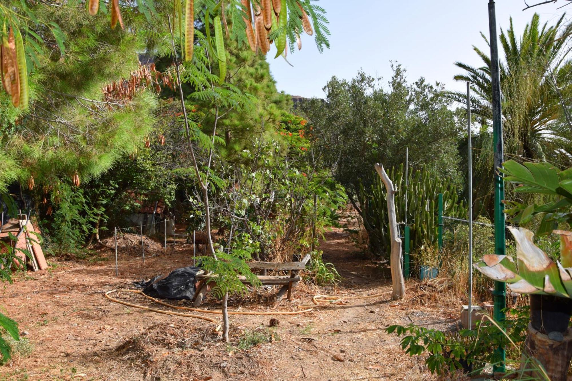 La Casa De Los Pinos Temisas Bagian luar foto